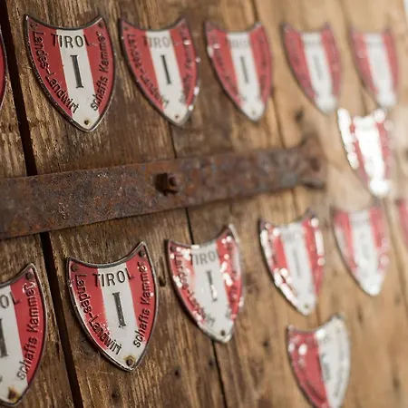 Frieden Alpine Panorama מלון Hochpillberg