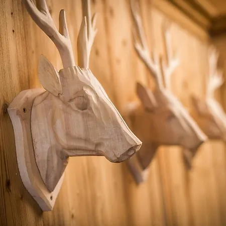 Frieden Alpine Panorama מלון 3*